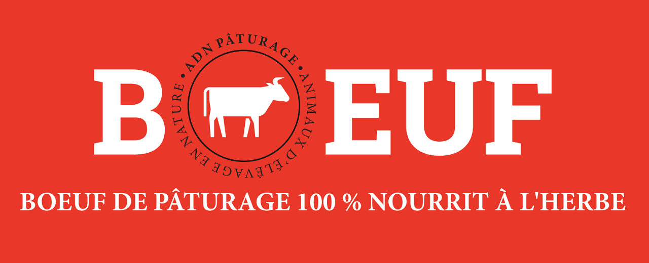 Boeuf de Pâturage 100% nourrit à l'herbe