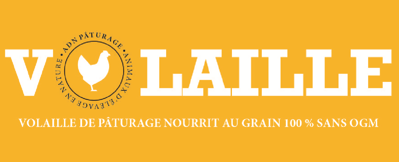 Volaille de Pâturage nourrit au grain 100% sans OGM